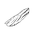 Duftnoten